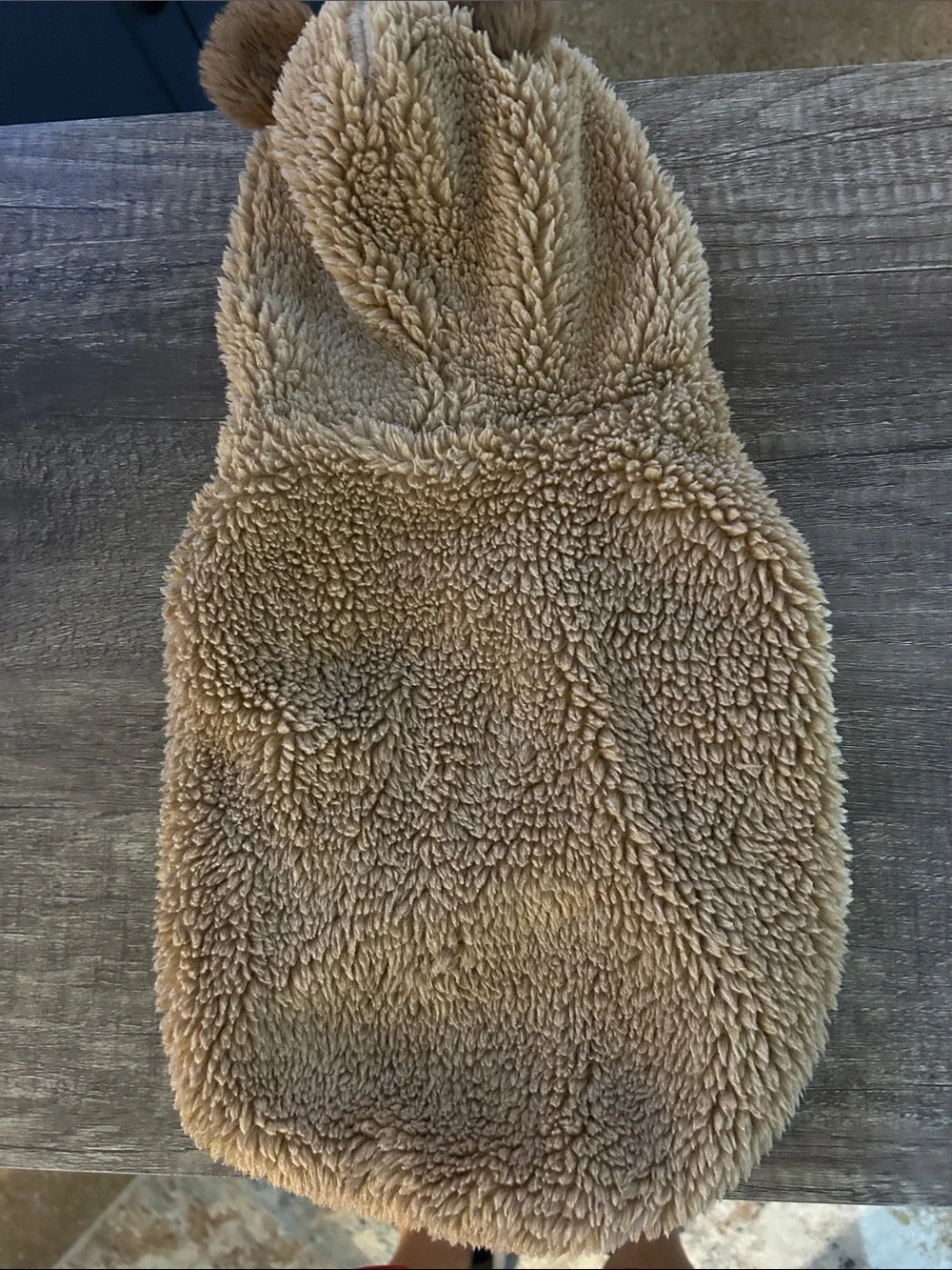 Warm Bear Coat for Pups